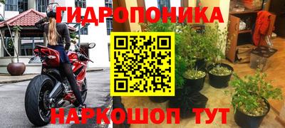 герыч Боровичи