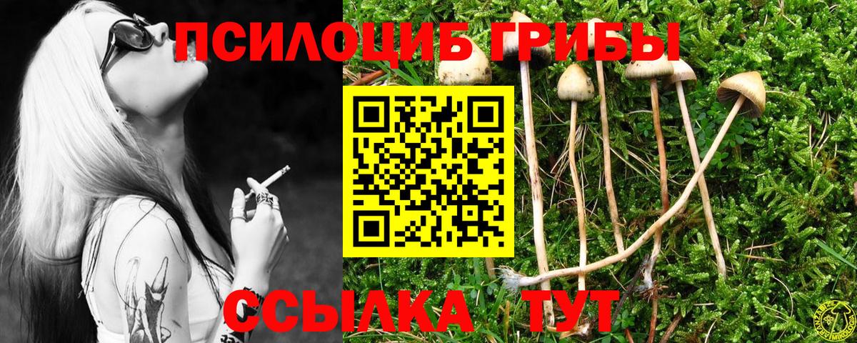 Галлюциногенные грибы ЛСД Гурьевск