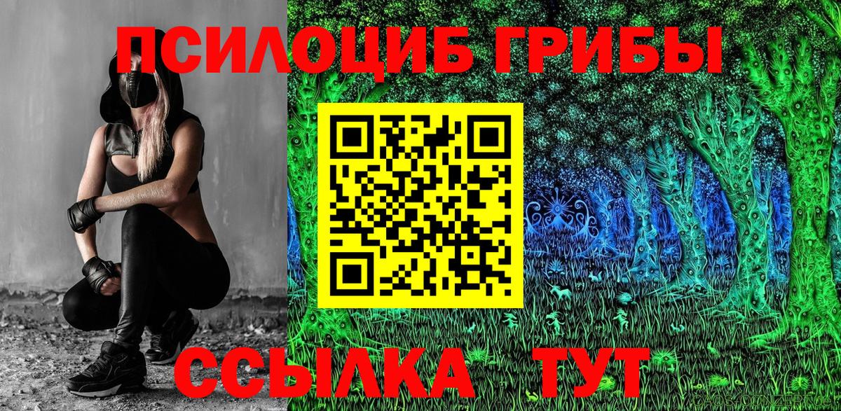 Гурьевск  Галлюциногенные грибы Cubensis  даркнет сайт  Вход с VPN 