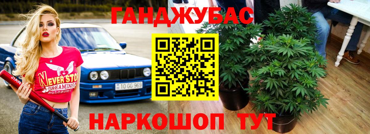 Бошки марихуана Amnesia  Бошки Шишки Ganja  Гурьевск  Вход с VPN  Конопля марихуана 